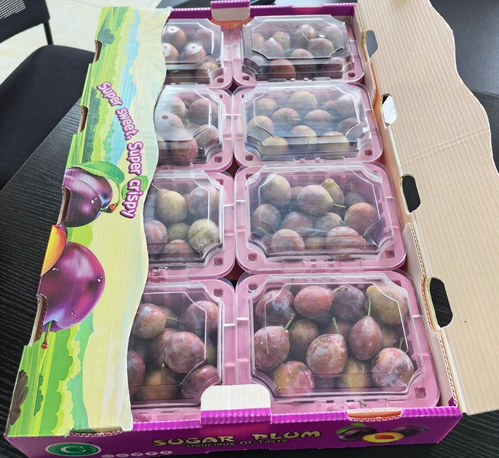 Wat is die belangrikste kenmerke en voordele van hol plaatkaste?