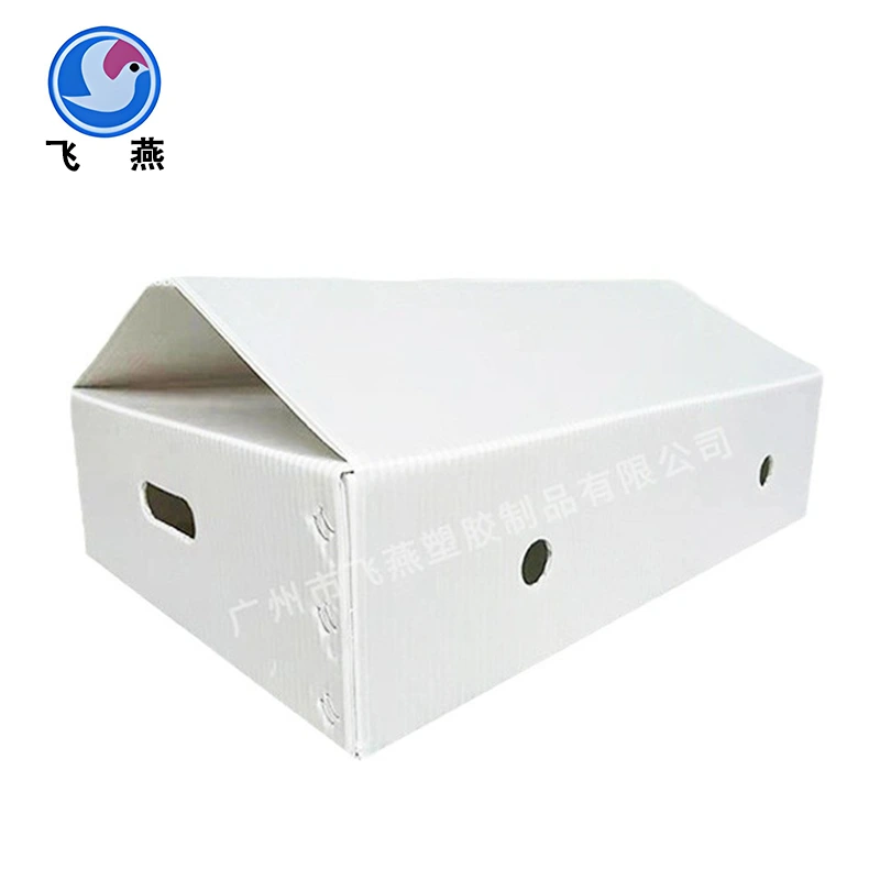 Groen plant PE Hollow Board omsetkas